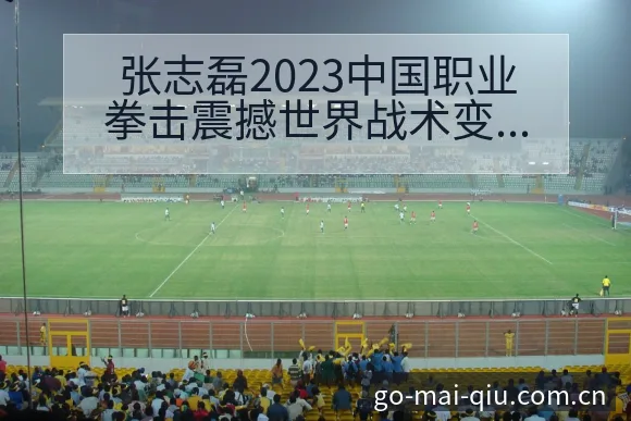 张志磊2023中国职业拳击震撼世界战术变化与风险点深度分 - 买球站