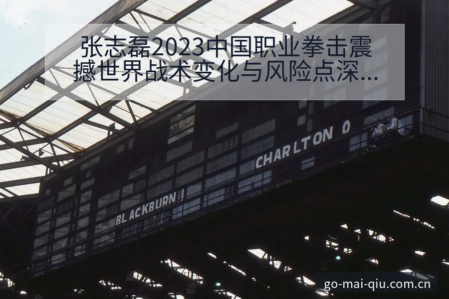 张志磊2023中国职业拳击震撼世界战术变化与风险点深度分 - 买球站